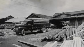 製材工場（1950年代）
