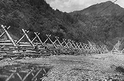 十津川に組まれた貯木堰（1941年頃）